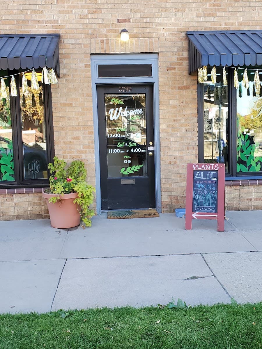 Tigerlily Goods โข Denver Houseplants and Gift Shop